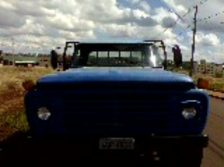 ford F600